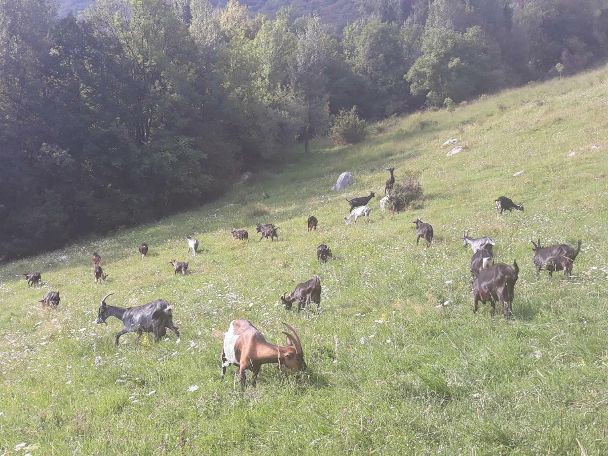 Apartmaji Berginc Kobarid Exteriér fotografie